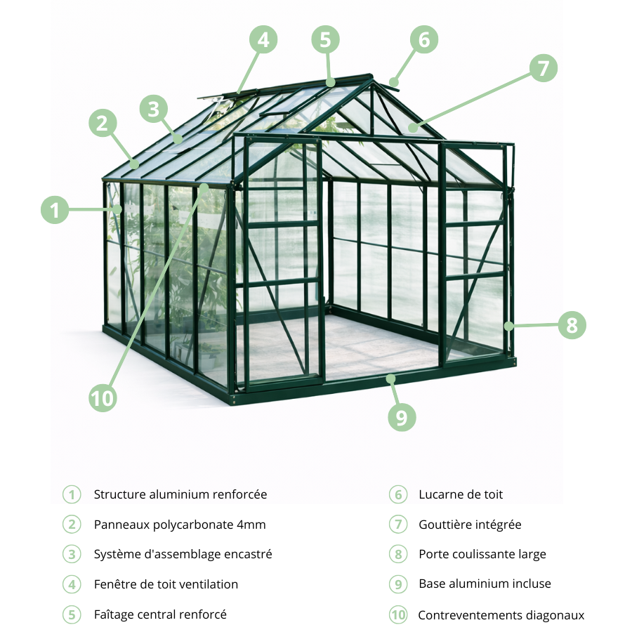 Serre de jardin aluminium 9,9 m² structure verte polycarbonate 4mm SerraBloom