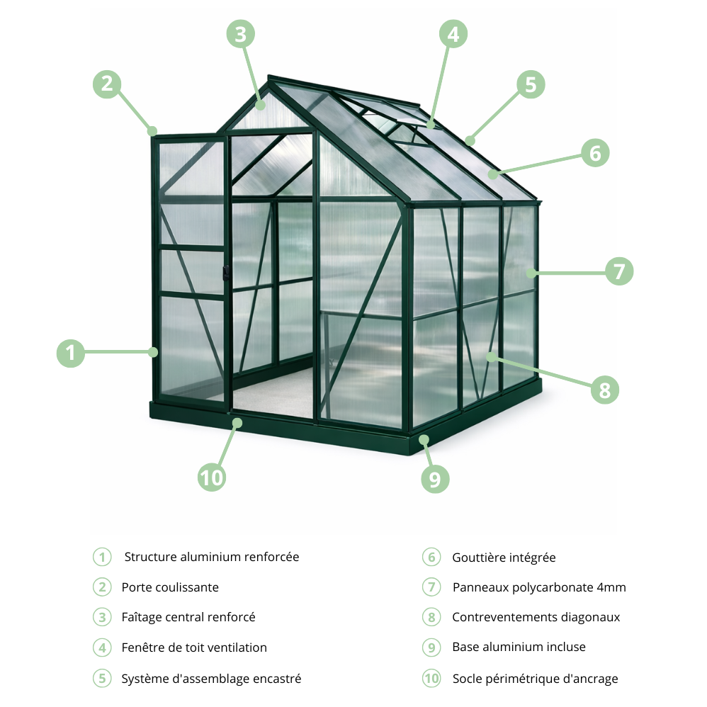 Serre de jardin aluminium 3,8 m² structure verte polycarbonate 4mm SerraBloom
